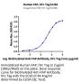 Human FAP Protein (FAP-HM201)