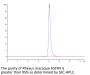 Rhesus macaque FGFR4 Protein (FGF-CM1R4)