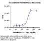 Human FGF8a Protein (FGF-HE08A)