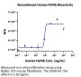 Human FGF8b Protein (FGF-HE08B)