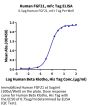 Human FGF21 Protein (FGF-HM621)