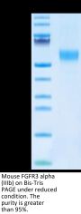 Mouse FGFR3 alpha (IIIb) Protein (FGF-MM43B)