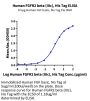 Human FGFR2 beta (IIIc) Protein (FGR-HM1BC)