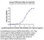 Human FGFR2 beta (IIIb) Protein (FGR-HM2BB)