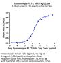 Cynomolgus FLT3/Flk-2 Protein (FLT-CM230)