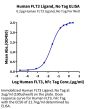 Human FLT3 Ligand Protein (FLT-HE03L)