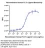 Human FLT3 Ligand Protein (FLT-HE03L)