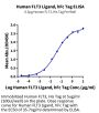 Human FLT3 Ligand Protein (FLT-HM23L)