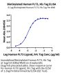 Biotinylated Human FLT3/Flk-2 Protein (FLT-HM430B)