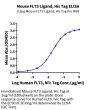 Mouse FLT3 Ligand Protein (FLT-MM13L)