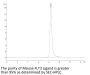 Mouse FLT3 Ligand Protein (FLT-MM13L)