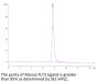 Mouse FLT3 Ligand Protein (FLT-MM23L)