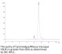 Cynomolgus/Rhesus macaque FOLR1 Protein (FOL-CM1R1)