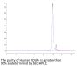Human FOLR4/Juno Protein (FOL-HM1R4)