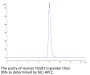 Human FOLR1 Protein, Ultra Low Endotoxin (FOL-HM4R1-UL)