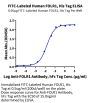 FITC-Labeled Human FOLR1 Protein (FOL-HM4R1F)