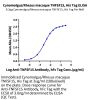 Cynomolgus/Rhesus macaque TNFSF15 Protein (active trimer) (FSF-CM115)