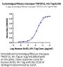 Cynomolgus/Rhesus macaque TNFSF15 Protein (active trimer) (FSF-CM115)