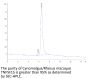 Cynomolgus/Rhesus macaque TNFSF15 Protein (active trimer) (FSF-CM115)