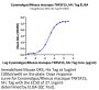 Cynomolgus/Rhesus macaque TNFSF15 Protein (FSF-CM215)