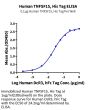Human TNFSF15 Protein (active trimer) (FSF-HM115)