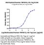 Biotinylated Human TNFSF15 Protein (FSF-HM415B)