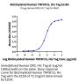 Biotinylated Human TNFSF15 Protein (FSF-HM415B)