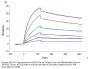 Biotinylated Human TNFSF15 Trimer Protein (Primary Amine Labeling) (FSF-HM416B)