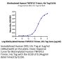 Biotinylated Human TNFSF15 Trimer Protein (Primary Amine Labeling) (FSF-HM416B)
