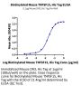 Biotinylated Mouse TNFSF15 Protein (FSF-MM415B)