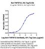 Rat TNFSF15 Protein (FSF-RM215)