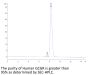 Human GCGR/Glucagon receptor Protein (GCR-HM20R)