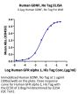 Human GDNF Protein (GDF-HE001)