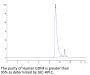 Human GDNF Protein (GDF-HE001)