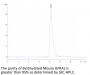 Biotinylated Mouse GFRAL/GFR alpha-like Protein (GFL-MM401B)