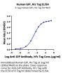Human GIP Protein (GIP-HM101)