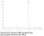 Human GIPR Protein (GIP-HM40R)
