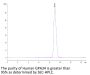 Human GPA34/VSIG1 Protein (GPA-HM134)