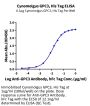 Cynomolgus GPC3/Glypican 3 Protein, Ultra Low Endotoxin (GPC-CM131-UL)