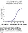 Human GPC3/Glypican 3 Protein (GPC-HM131)