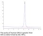 Human GPC3/Glypican 3 Protein (GPC-HM131)