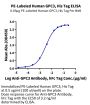 PE-Labeled Human GPC3/Glypican 3 Protein (GPC-HM131P)
