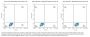 Biotinylated Human GPC3/Glypican 3 Protein (GPC-HM431B)