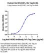 Human Her2/ErbB2 (S310F) Protein, Ultra Low Endotoxin (HER-HM112-UL)