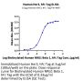 Human Her3/ErbB3 Protein (HER-HM203)