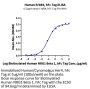 Human/Cynomolgus Her4/ErbB4 Protein (HER-HM204)