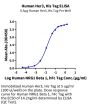 Human Her3/ErbB3 Protein (HER-HM403)