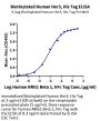 Biotinylated Human Her3/ErbB3 Protein (HER-HM403B)