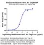 Biotinylated Human Her3/ErbB3 Protein (HER-HM403B)