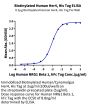 Biotinylated Human/Cynomolgus Her4/ErbB4 Protein (HER-HM4B4B)